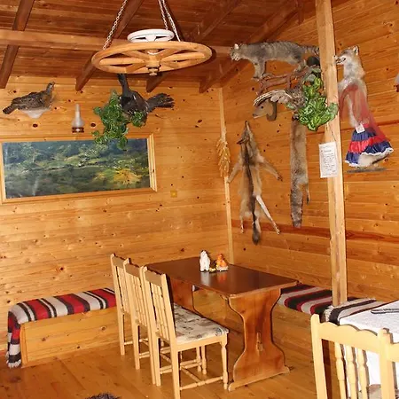 Guest house Tihiat Kut Ananievi